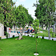 Yalçın Villaları